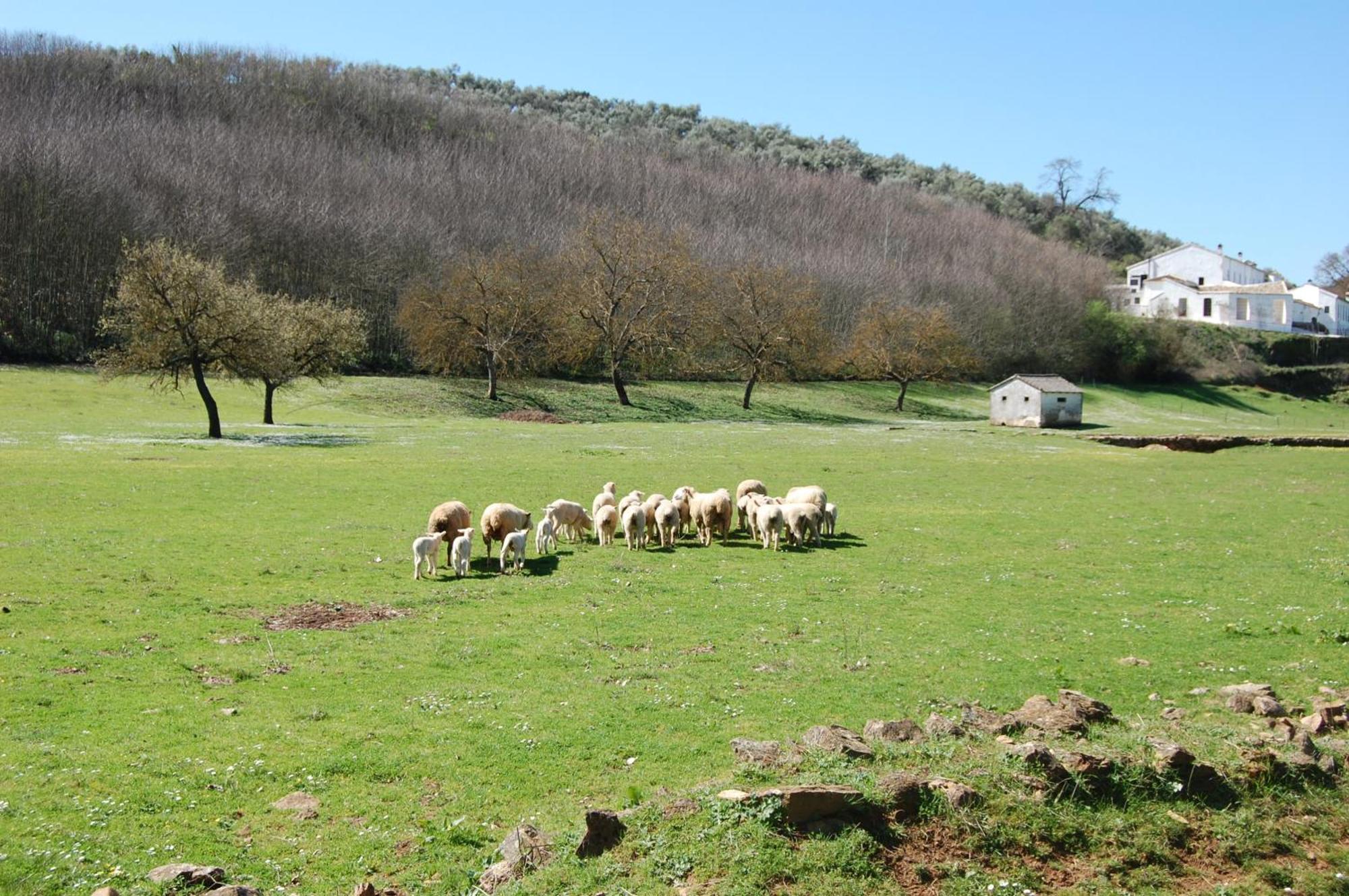 Los Pozos De La Nieve كونستانتينا المظهر الخارجي الصورة
